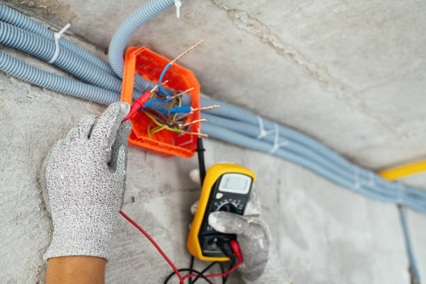 Best Ceiling Fan Installation Electrician  in Ann Arbor, MI